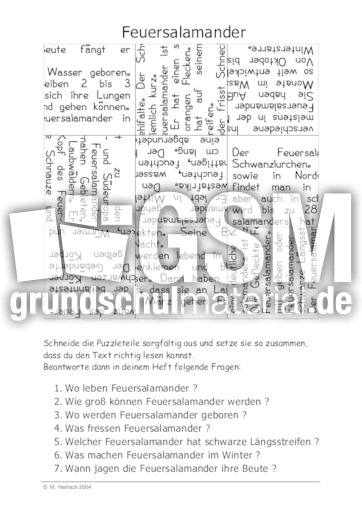 Feuersalamander.pdf